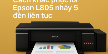 Cách khắc phục lỗi Epson L805 nháy 5 đèn liên tục